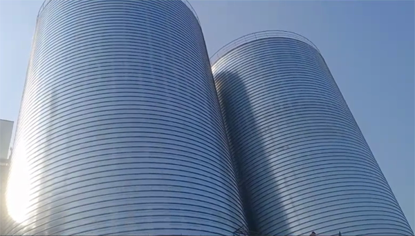 盐源2座混凝土高架卷板仓